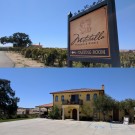 Mitchella Sign and Tasting Room