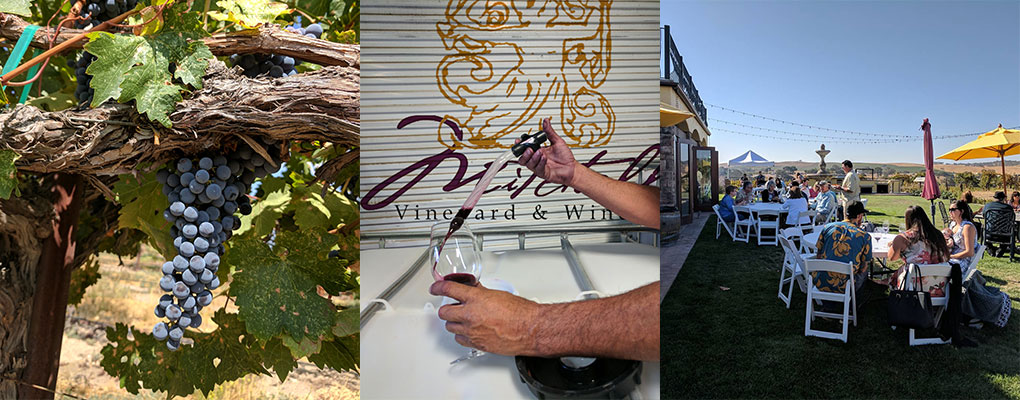 Mitchella Vineyard & Winery - June 2020 Newsletter 